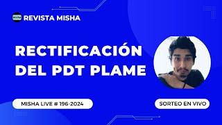 RECTIFICACIONES PDT PLAME