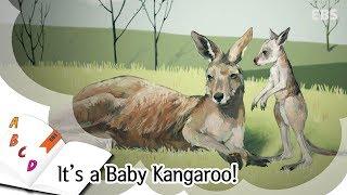 Mom reads the fairy tale book - It's a Baby Kangaroo!