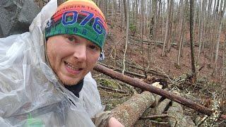 Be Well Rooted on the Appalachian Trail. Day 46. February 16, 2025.