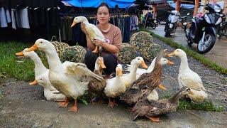 Harvest Ducks Goes To Market Sell - Handmade Bamboo Basket Weaving - Lý Thị Ca