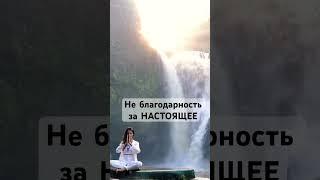 3 врага твоего счастья | Про жизнь со смыслом сильные слова Бали