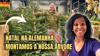 ESCOLHENDO, COMPRANDO E MONTANDO A NOSSA LINDA ÁRVORE DE NATAL