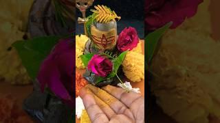 25 May jeshth mah ki  Shivratri  ke din haldi Shami Patra ka Karen achuk upay  sampda ki Kami Nahin
