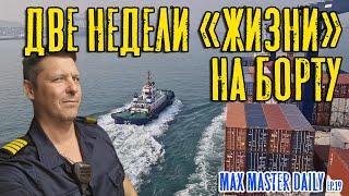 14 дней "жизни" на борту контейнеровоза. (Max Master Daily ep.19)