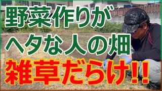 野菜作りが上手な人とヘタな人との考え方の違い