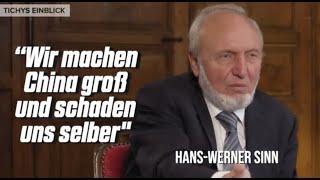 Wir machen China groß und schaden uns selber - Hans-Werner Sinn im Tichys Einblick Talk vom 03.12.