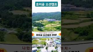 호미곶 오션캠프(자부담8,000) 호미곶 오션뷰 별장. 별장+수익까지 바닷가 우리가족만의 멋진별장을 소유하며 관리와 수익까지 @ksbds