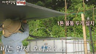 [June-1] A Bountiful June Harvest Every Day / Natural Garden Vlog