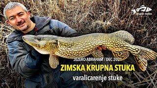 Krupna Zimska Stuka - Varalicarenje Stuke na Barama / Big Pikes on Small  Pond