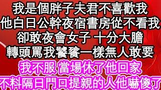 我是個胖子夫君不喜歡我，他白日公幹夜宿書房從不看我，卻敢夜會女子 十分大膽，轉頭罵我饕餮一樣無人敢要，我不服當場休了他回家，不料隔日家門口提親的人他嚇傻了| #為人處世#生活經驗#情感故事#養老#退休