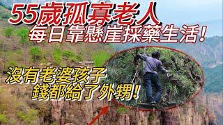 A 55-year-old lonely old man makes money by collecting herbs and honey in the mountains every day