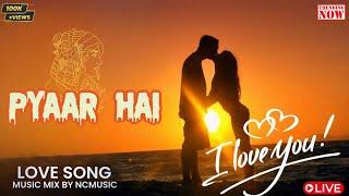 PYAAR HAI - New Hindi Love Song 2024 ️ | Best Hindi Romantic Song Video 🫶 || NCM | NCMUSIC