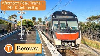 Transport for Sydney Vlog 904: Berowra Part 3 - Afternoon Peak Trains + NIF D Set Testing