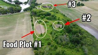 All In 1 Food Plots - Corn, Clover, Brassicas, Soybeans