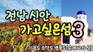 #10월 추천여행지#병풍도병풍도,/10월 추천여행지/기점도 소악도12사도 순례길/ 형형색색 맨드라미꽃이 만발 했어요/  지금 가을에 가기 딱 좋은곳!!