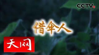 《天网》 借伞人：山间男尸与山村夜间造访者有何关系 | CCTV社会与法