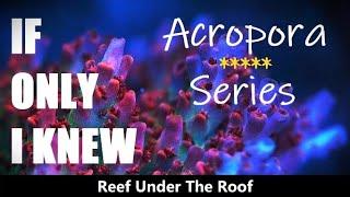 TOP 5 Key Points in keeping Acropora Coral/ Acropora Series - Ep # 0 (If only I Knew!!!)