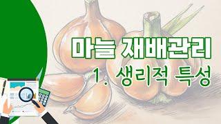 [영농기술] 마늘 재배관리 1. 생리적 특성