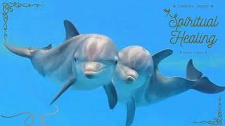 432Hz【Spiritual Healing】Lemuria Chant  Golden Dolphin 金海豚 {哈依姆}