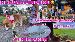 Hercules First Time In MINDORO! | HIS ADVENTURE! | Husky Pack TV | Vlogmas 2021