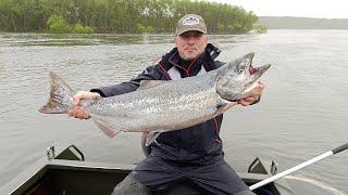 КАМЧАТКА, РЫБАЛКА, ЧАВЫЧА И ШАМПАНСКОЕ. King salmon fishing