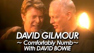 DAVID GILMOUR with DAVID BOWIE ：PINK FLOYD  『Comfortably Numb 』by miu JAPAN