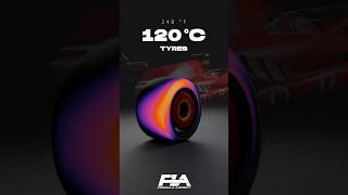 How HOT is an F1 car? 