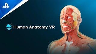 Human Anatomy VR | Launch Trailer | PS VR2