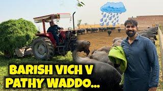 BARISH VICH PATHY WADNY BOHT OKHY AY SARA DIN KAM NI MOKDA Waqar Bhinder 