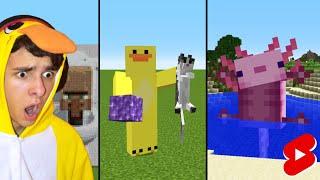 Best of Twi Shorts  - 2023 Minecraft #Shorts