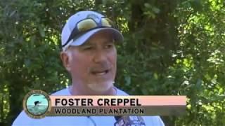 A Brief History of Woodland Plantation