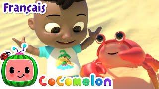 Les animaux de la plage | CoComelon - L'Heure de Cody | Chansons pour bébés