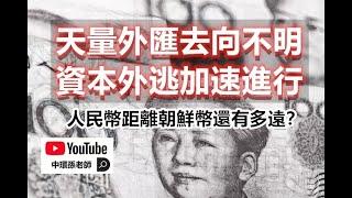 天量外匯去向不明，資本外逃加速進行！人民幣距離朝鮮幣還有多遠？｜政經孫老師