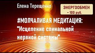 Молчаливая медитация: "Исцеление спинальной нервной системы".