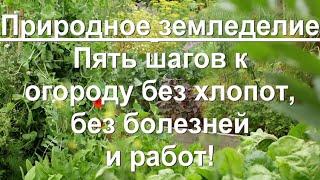 95. Природное земледелие - пять шагов к огороду без хлопот.