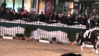 www.HWfarm.com: Quotenkönig Hengstschau Münster Handorf 2012