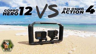 DJI Osmo Action 4 vs GoPro Hero 12: Diving Camera Comparison