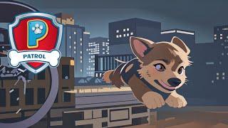 Chase Rescues Ryder in the Night  PAW Patrol Songs