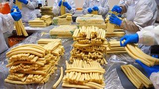 Mass production of Korean tteokbokki food factory / Korean food factory