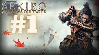 "Sekiro But Every Death Hurts My Soul "