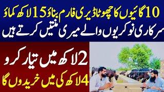 How to start Small Dairy Farm with 10 small cows In pakistan