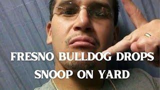 Fresno bulldog drops snoop#fresno#bulldogs #gangster #utube