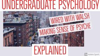 Social Psychology: Subjectivity and Objectivity - Wired With Walsh - Undergraduate Psychology