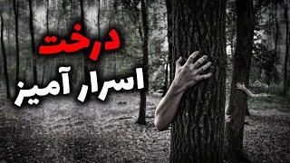 داستان ترسناک – درخت اسرار آمیز