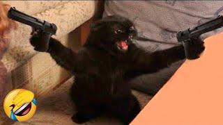 Best Funny Animal Videos Of The 2022  - Funniest Cats And Dogs Videos 