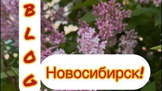 BLOG Ухоженные дворы, праздник, жарко, прогулка у воды!