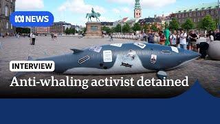 Anti-whaling activist Paul Watson to stay in Greenland detention | The World