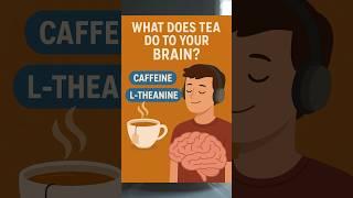 What Tea Really Does to Your Brain  | Science of Focus & Calm #shorts  #didyouknow