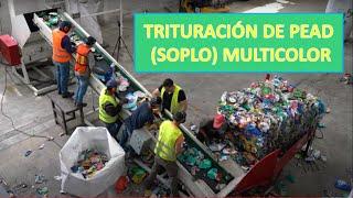 CRUSHING HDPE (BLOWN)/ TRITURAÇÃO DE PEAD (SOPRO)/TRITURACIÓN DE PEAD (SOPLADO) MULTICOLOR