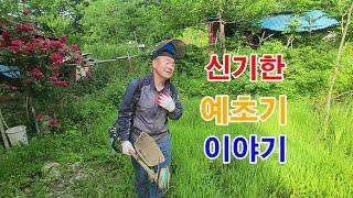 신기한 #예초기 이야기 #automobile #farming #귀농 #귀농귀촌 #조경과구들장 #귀촌 #귀촌생활 #diy #노하우 #agriculture